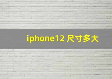 iphone12 尺寸多大